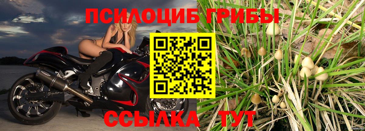 Азнакаево  Галлюциногенные грибы мухоморы  Вход с VPN 
